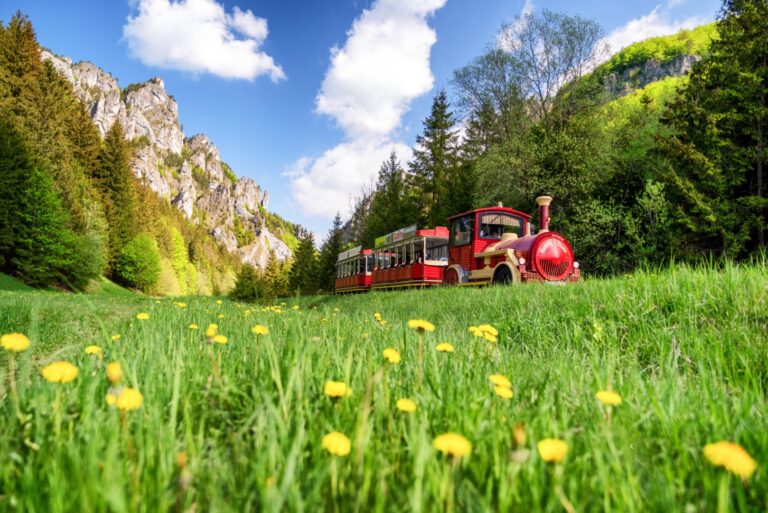Through the Diery Gorges to Štefanová and back by road train