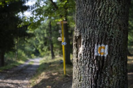 Cyklotrasa Na Rovnú horu (Terchová)